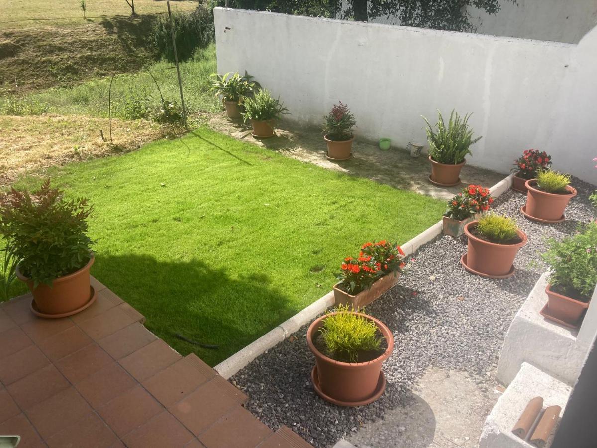 Apartamento Con Jardin En El Oviedo Antiguo Exterior foto